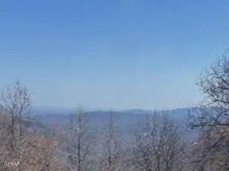 1130 Ski View Drive Gatlinburg TN 37738