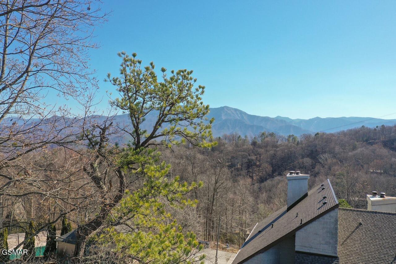 1155 Upper Alpine Way Gatlinburg TN 37738