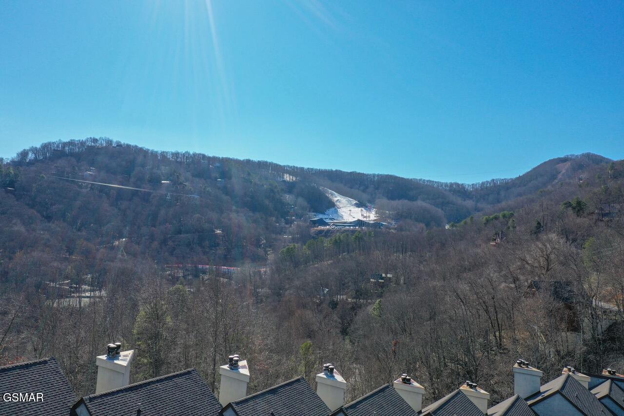 1155 Upper Alpine Way Gatlinburg TN 37738