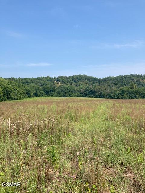 540 Henderson Road Pigeon Forge TN 37863