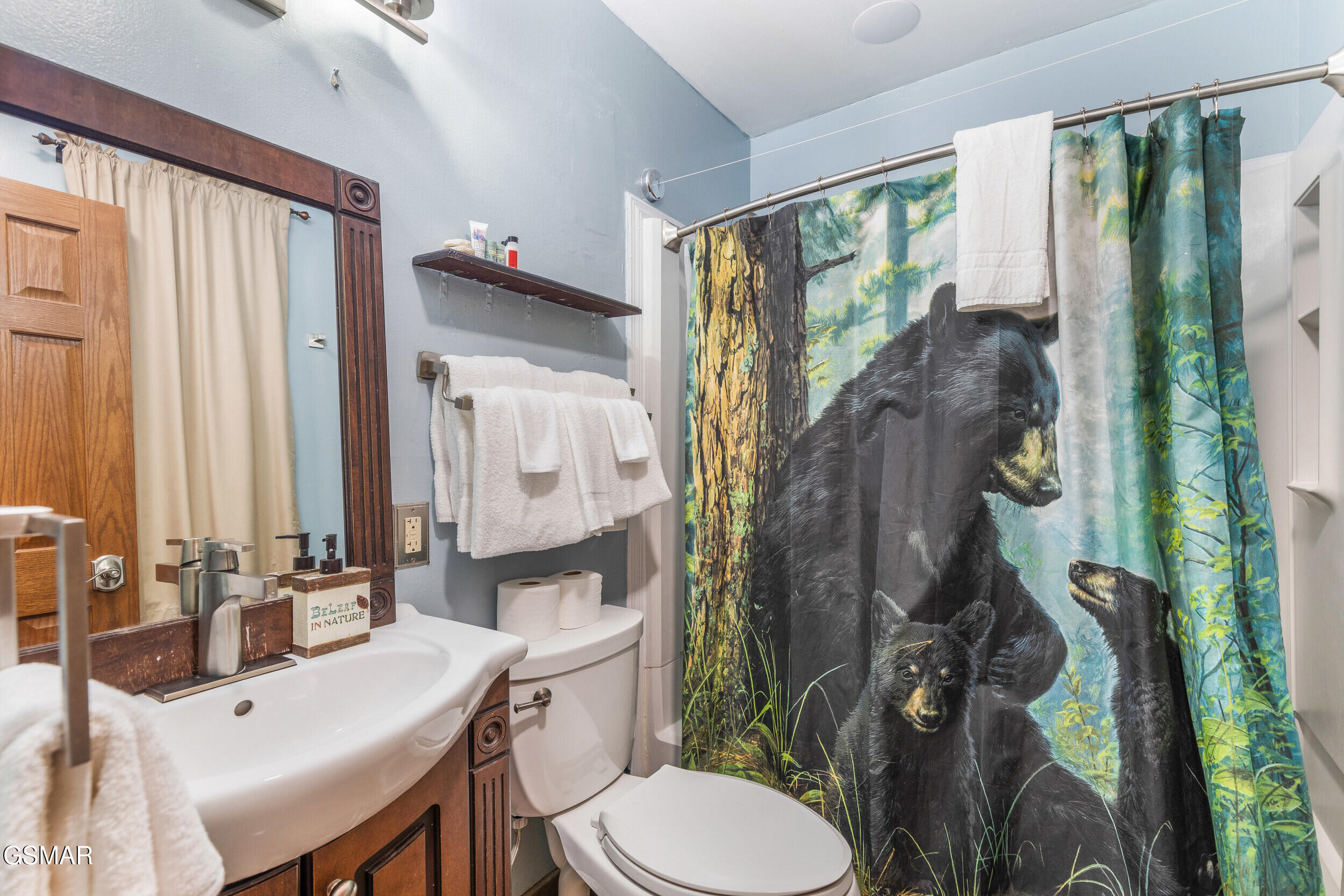1260 Ski View Drive Gatlinburg TN 37738
