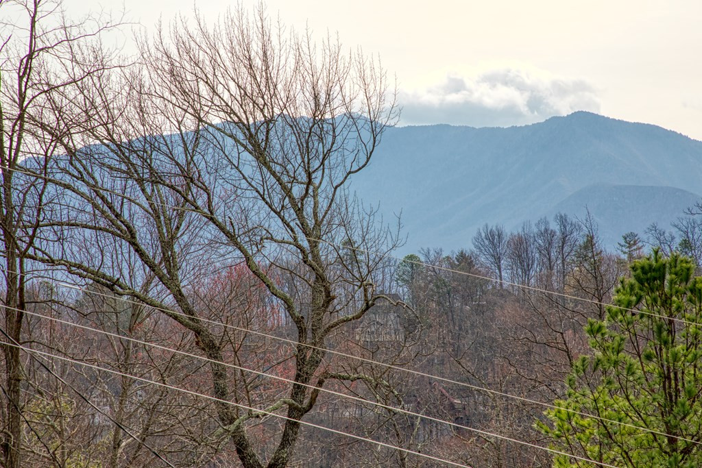 1155 Upper Alpine Way, Gatlinburg TN 37738