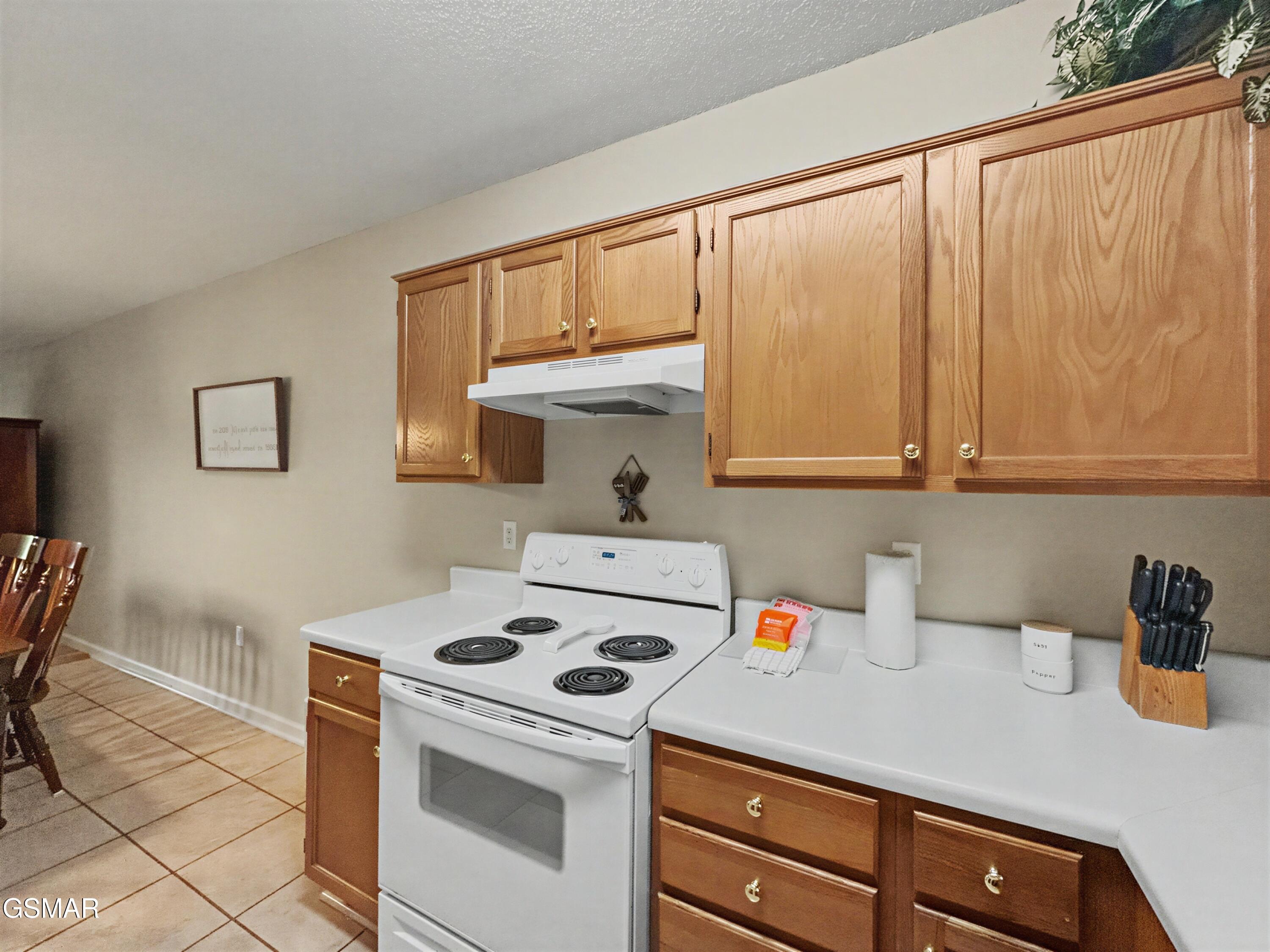 205 Ogle Drive Pigeon Forge TN 37863