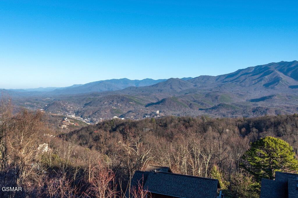 1260 Ski View Drive Gatlinburg TN 37738