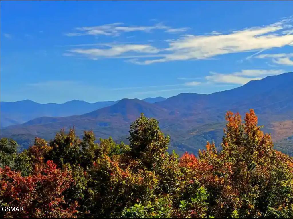 1260 Ski View Drive Gatlinburg TN 37738