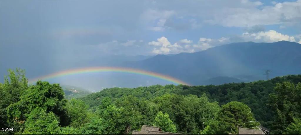 1260 Ski View Drive Gatlinburg TN 37738