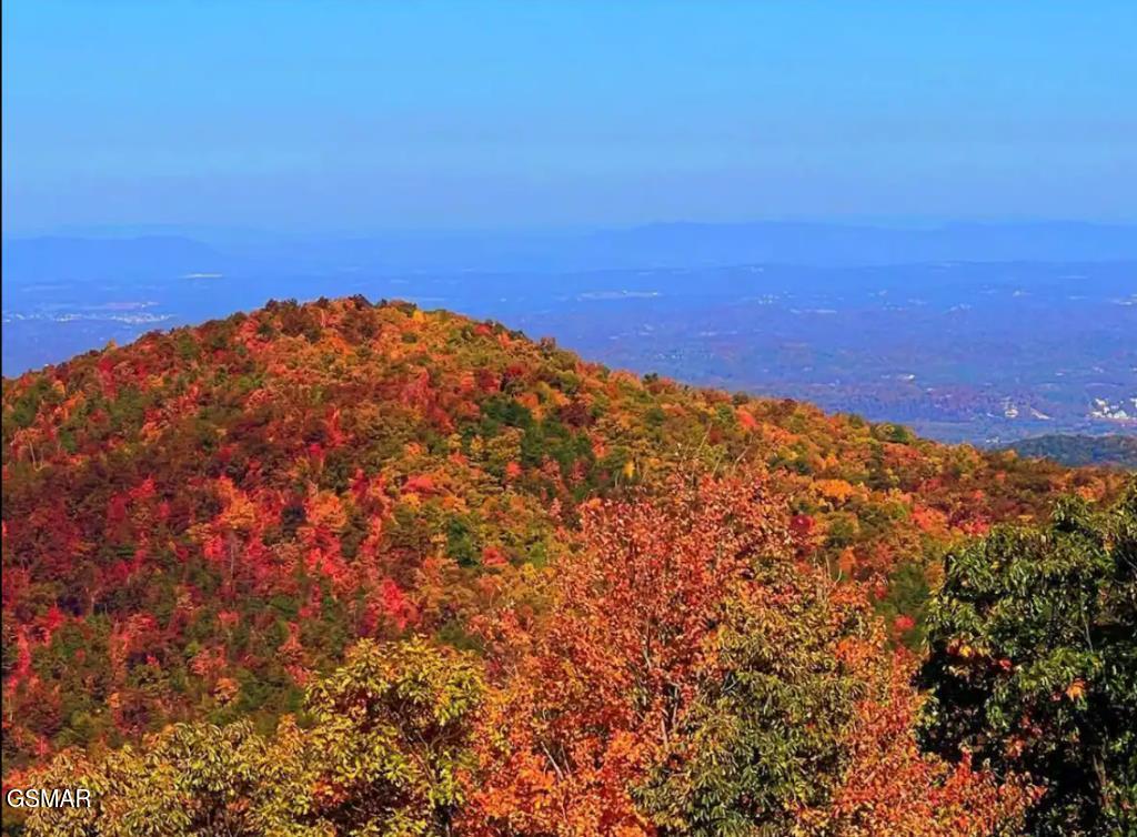 1260 Ski View Drive Gatlinburg TN 37738