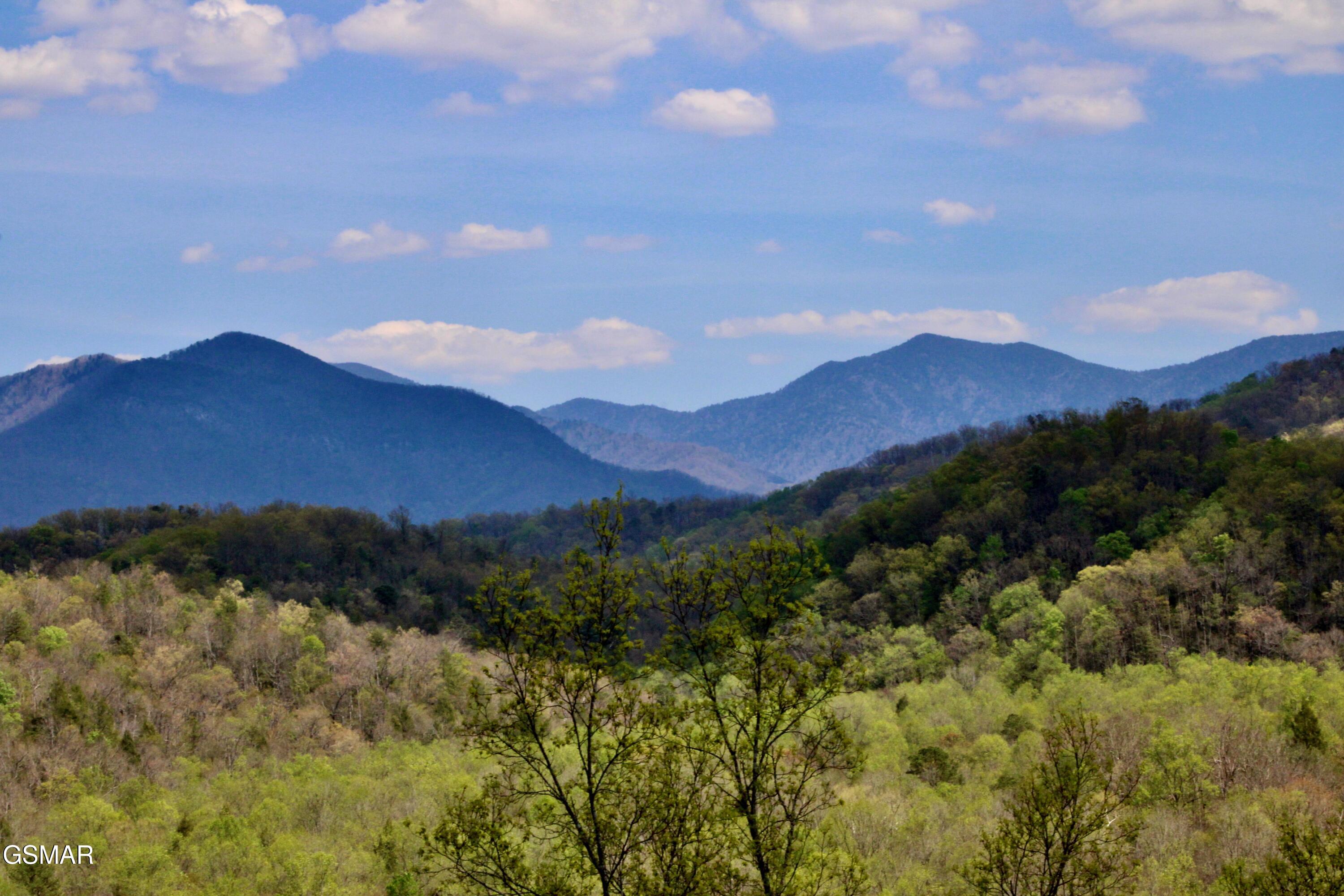 224 Woodland Road Gatlinburg TN 37738
