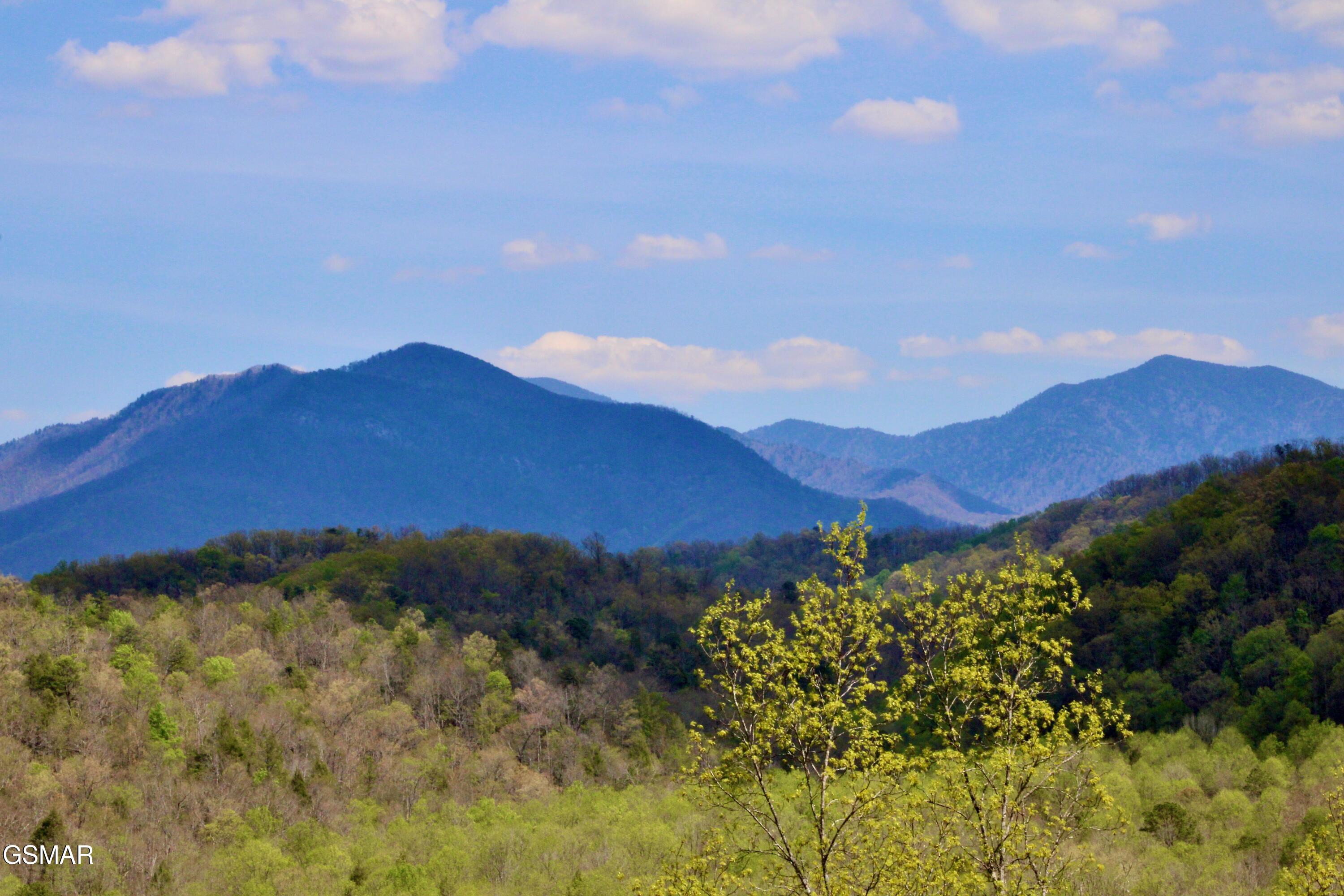 224 Woodland Road Gatlinburg TN 37738
