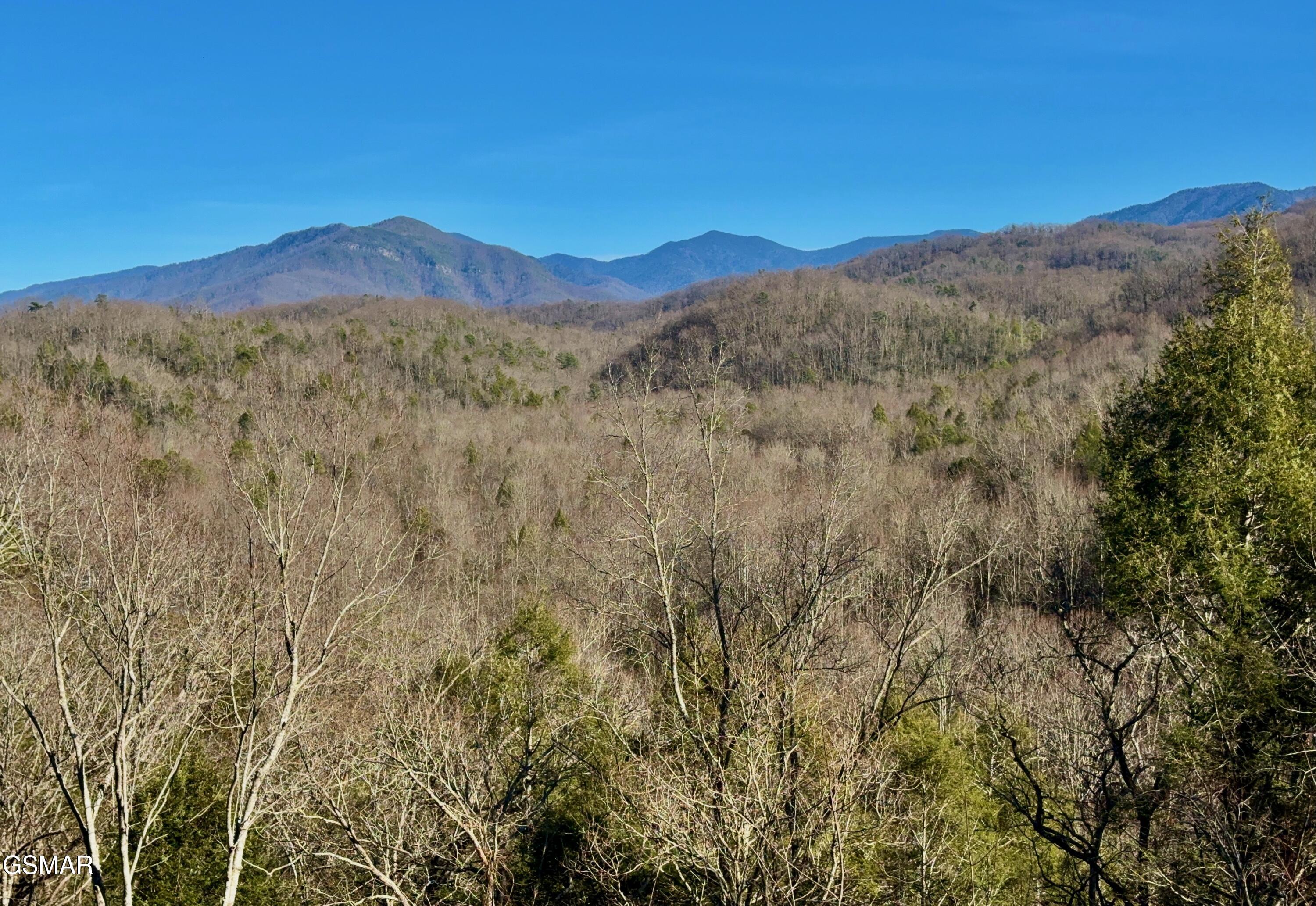 224 Woodland Road Gatlinburg TN 37738