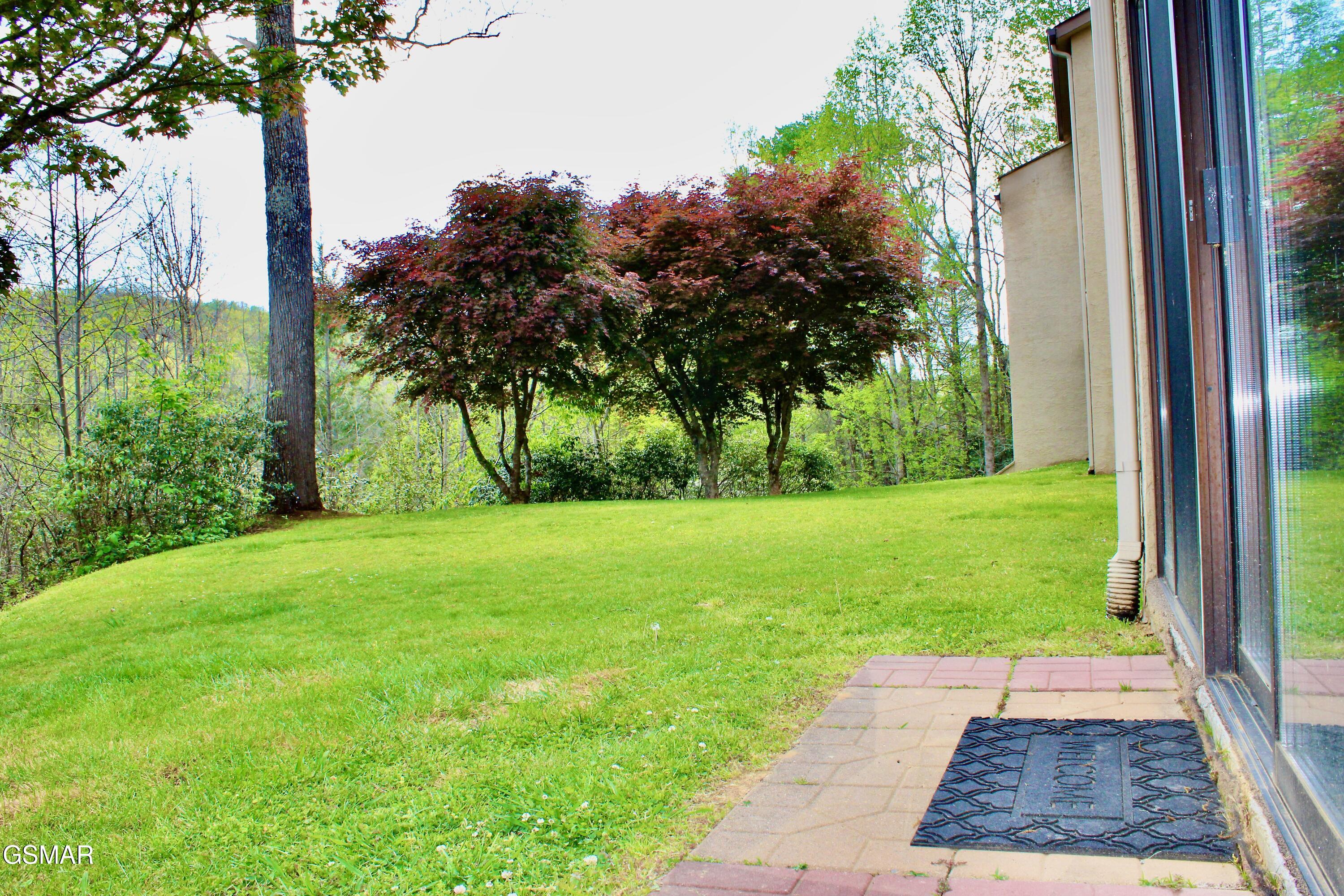 224 Woodland Road Gatlinburg TN 37738