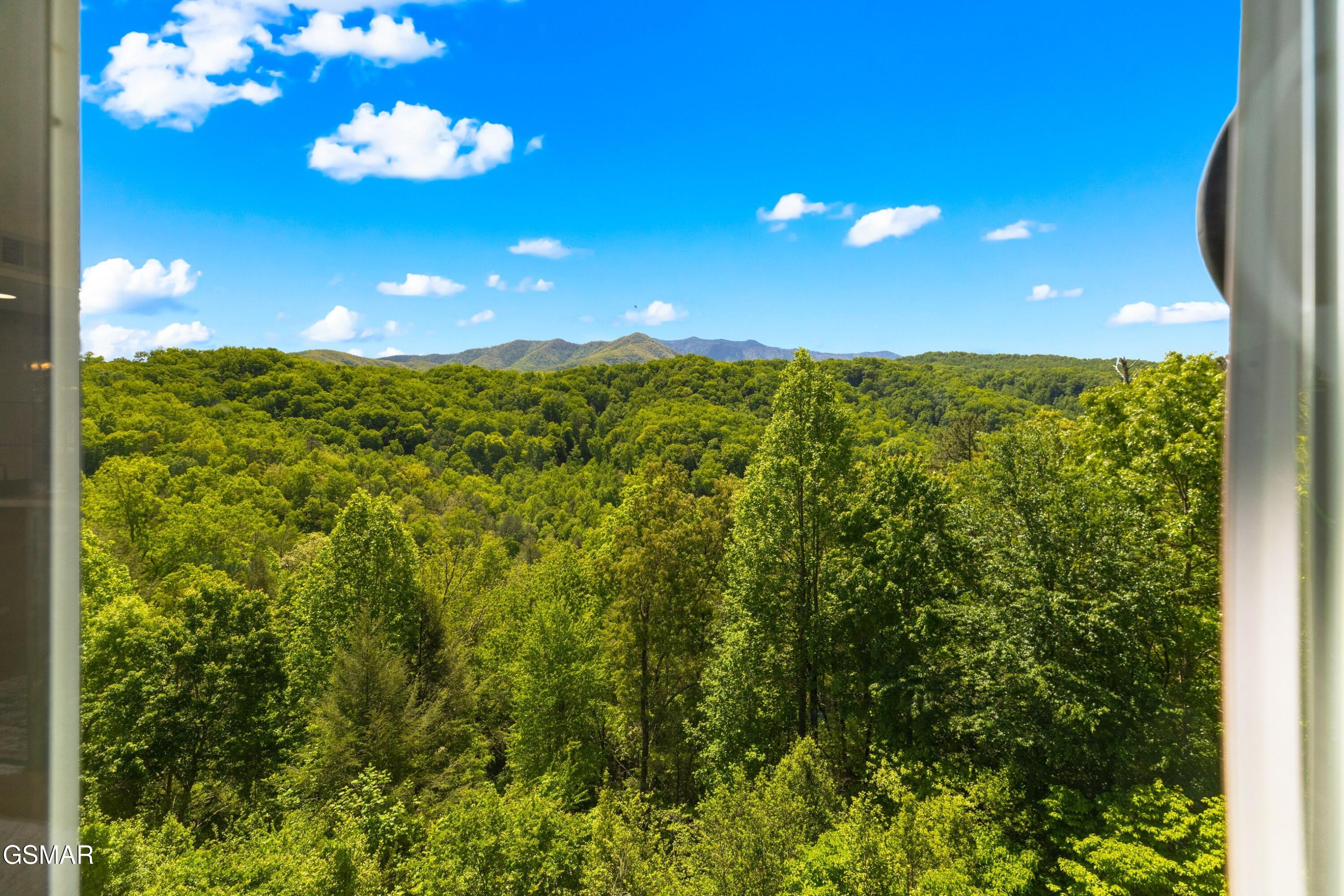 1704 Hidden Hills Road 504 Gatlinburg TN 37738