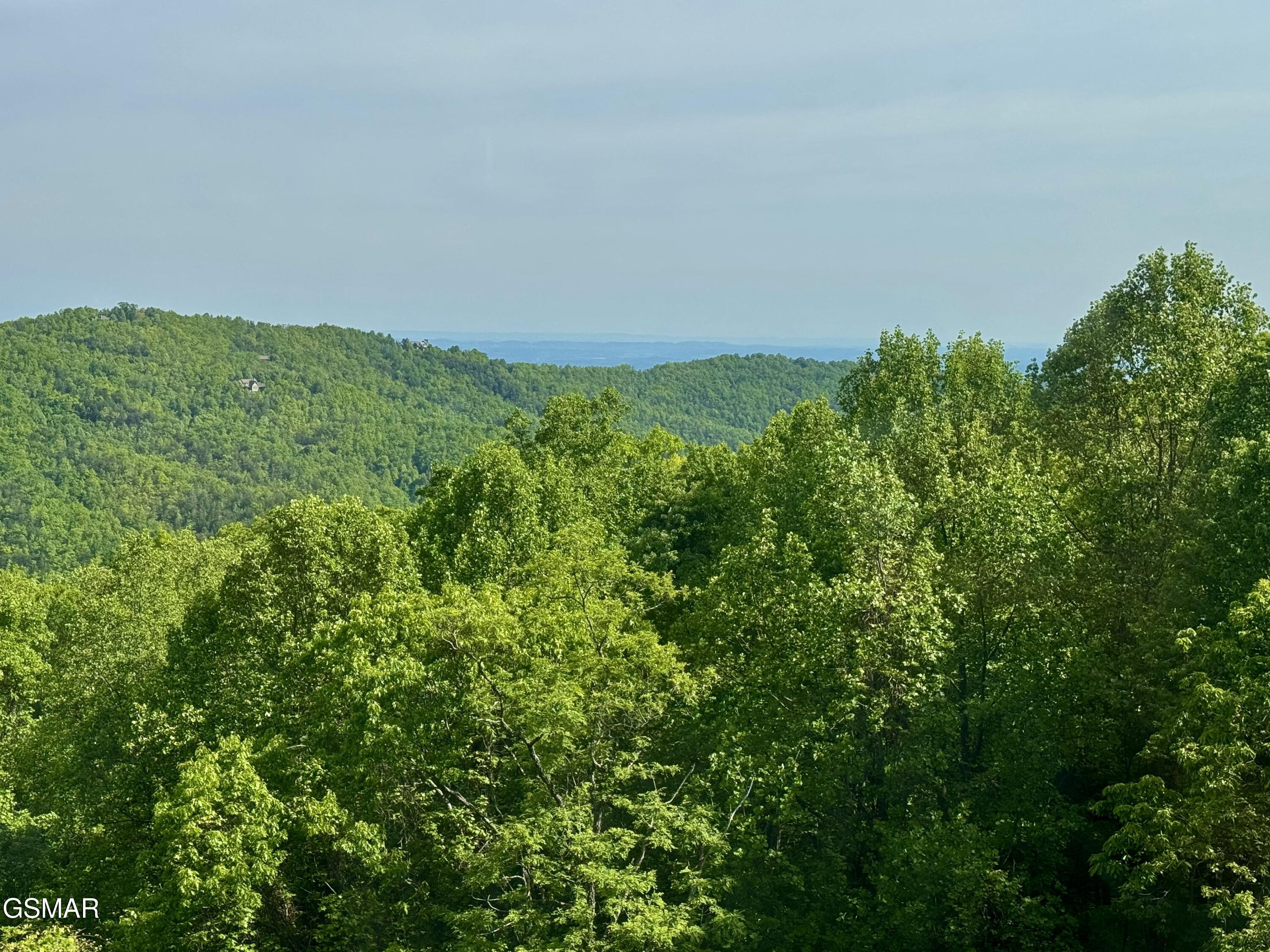 1102 Ski View Drive Gatlinburg TN 37738