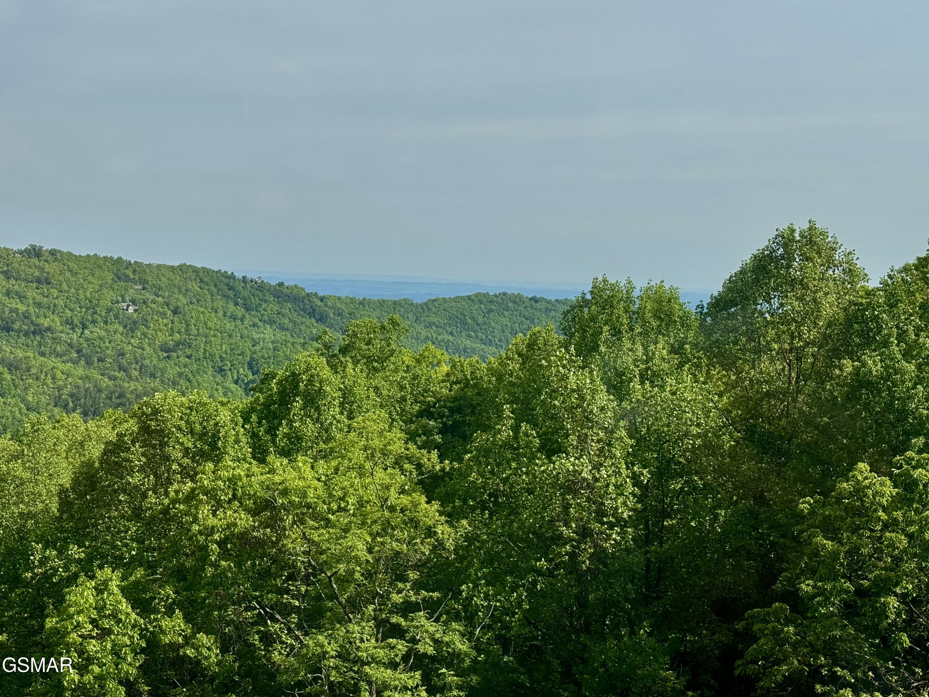 1102 Ski View Drive Gatlinburg TN 37738