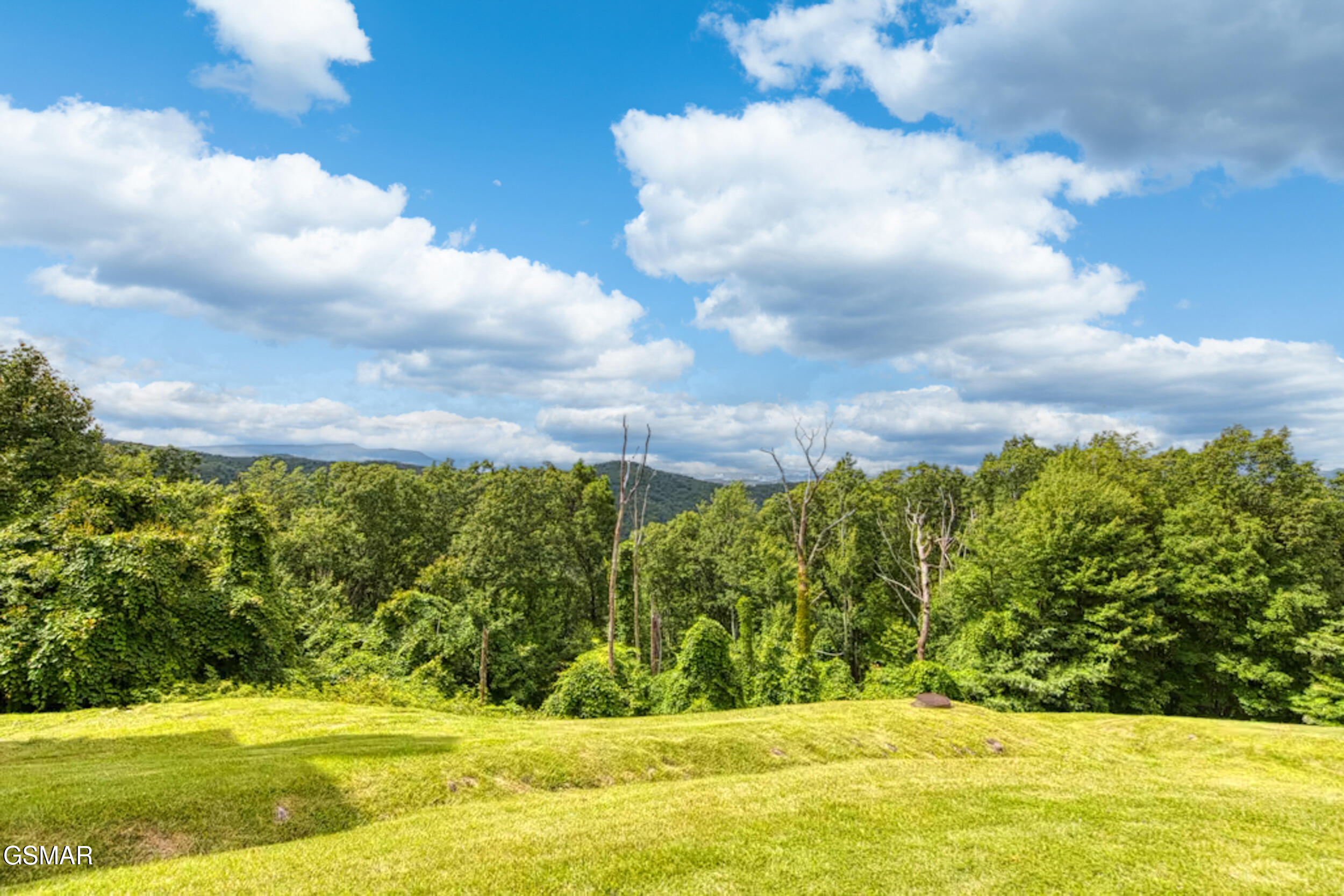 1260 Ski View Drive Gatlinburg TN 37738