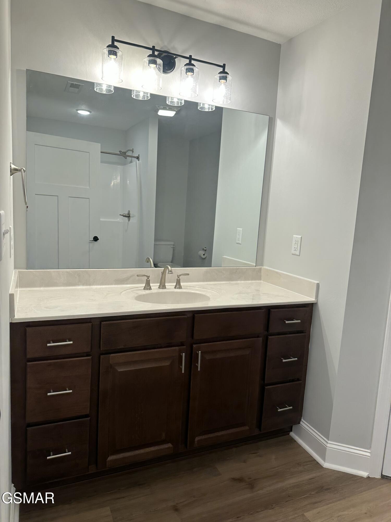 766 Snowflower Circle Pigeon Forge TN 37863