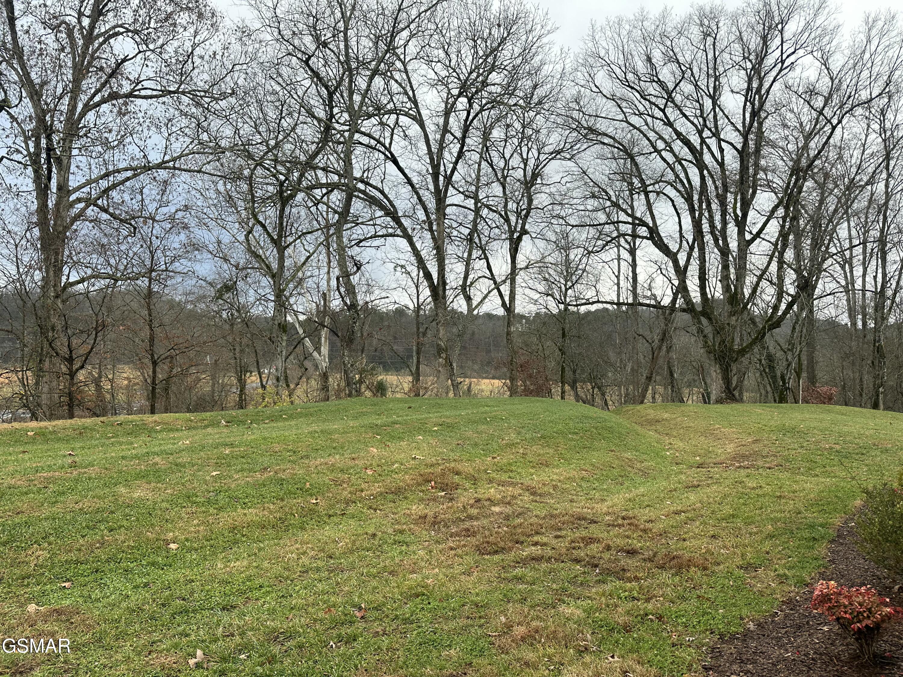 766 Snowflower Circle Pigeon Forge TN 37863