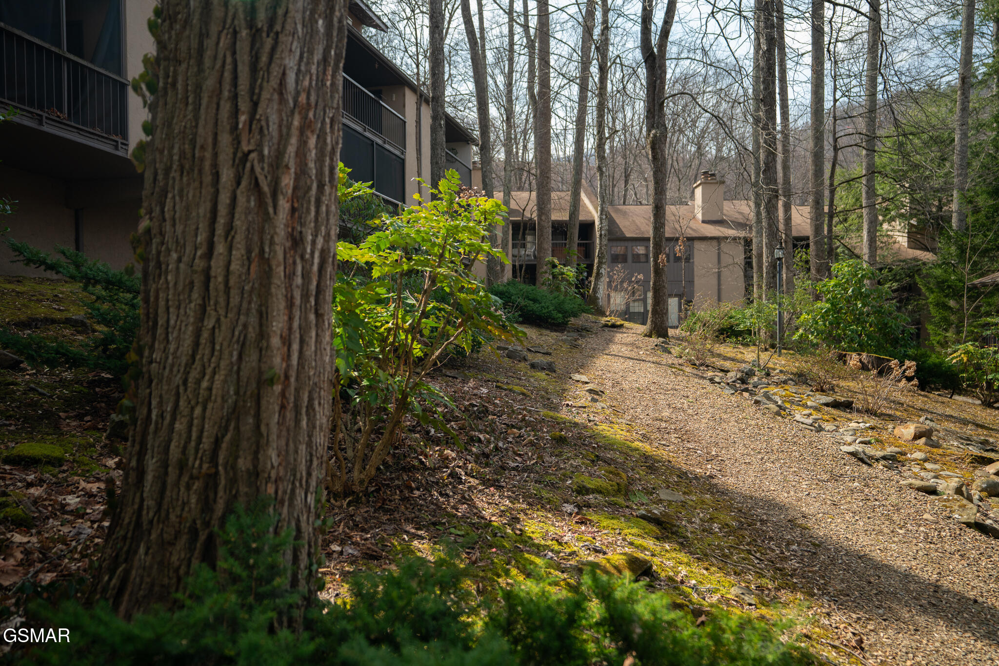 1235 Ski Mountain Road Gatlinburg TN 37738