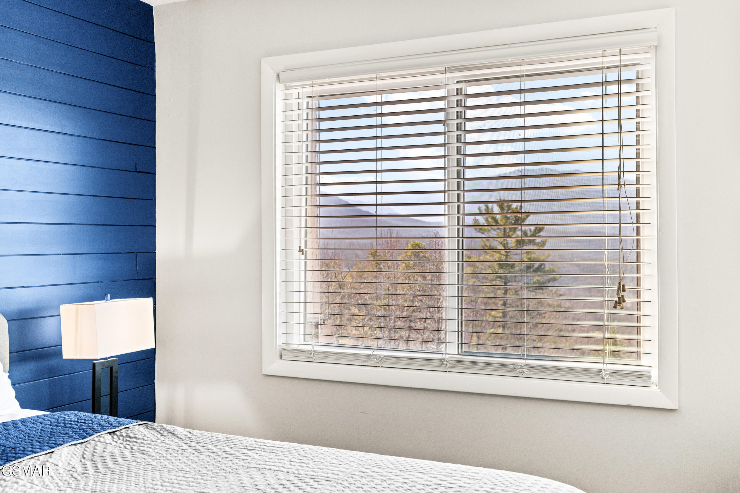 3710 Weber Road Gatlinburg TN 37738