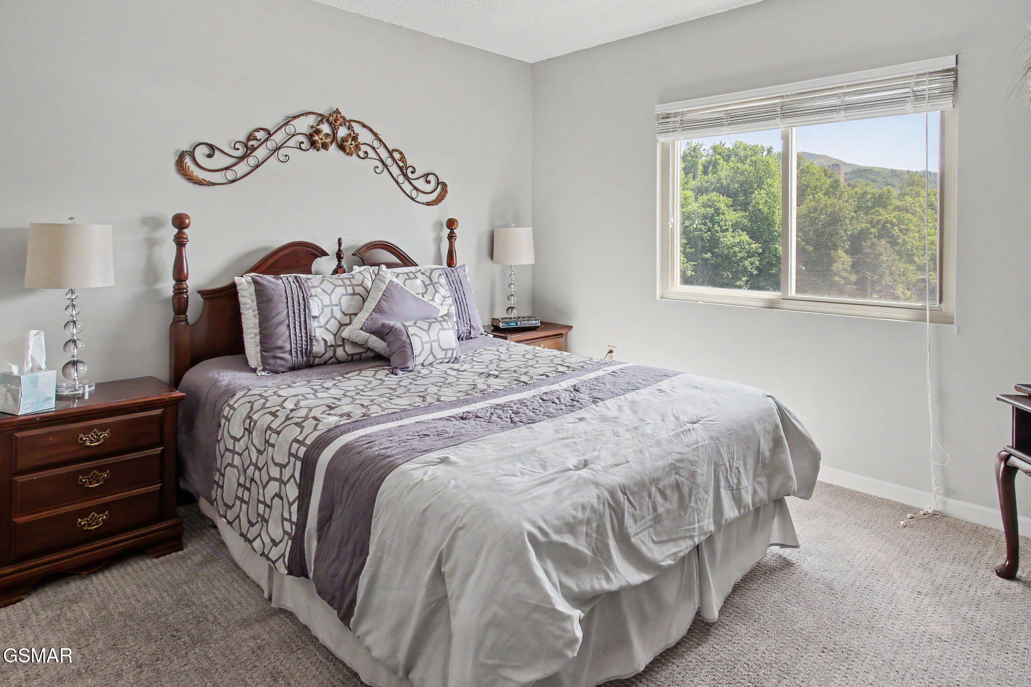 102 Baskins Creek Bypass Gatlinburg TN 37738
