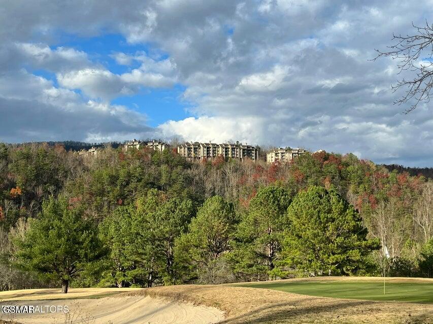 3710 Weber Road Gatlinburg TN 37738