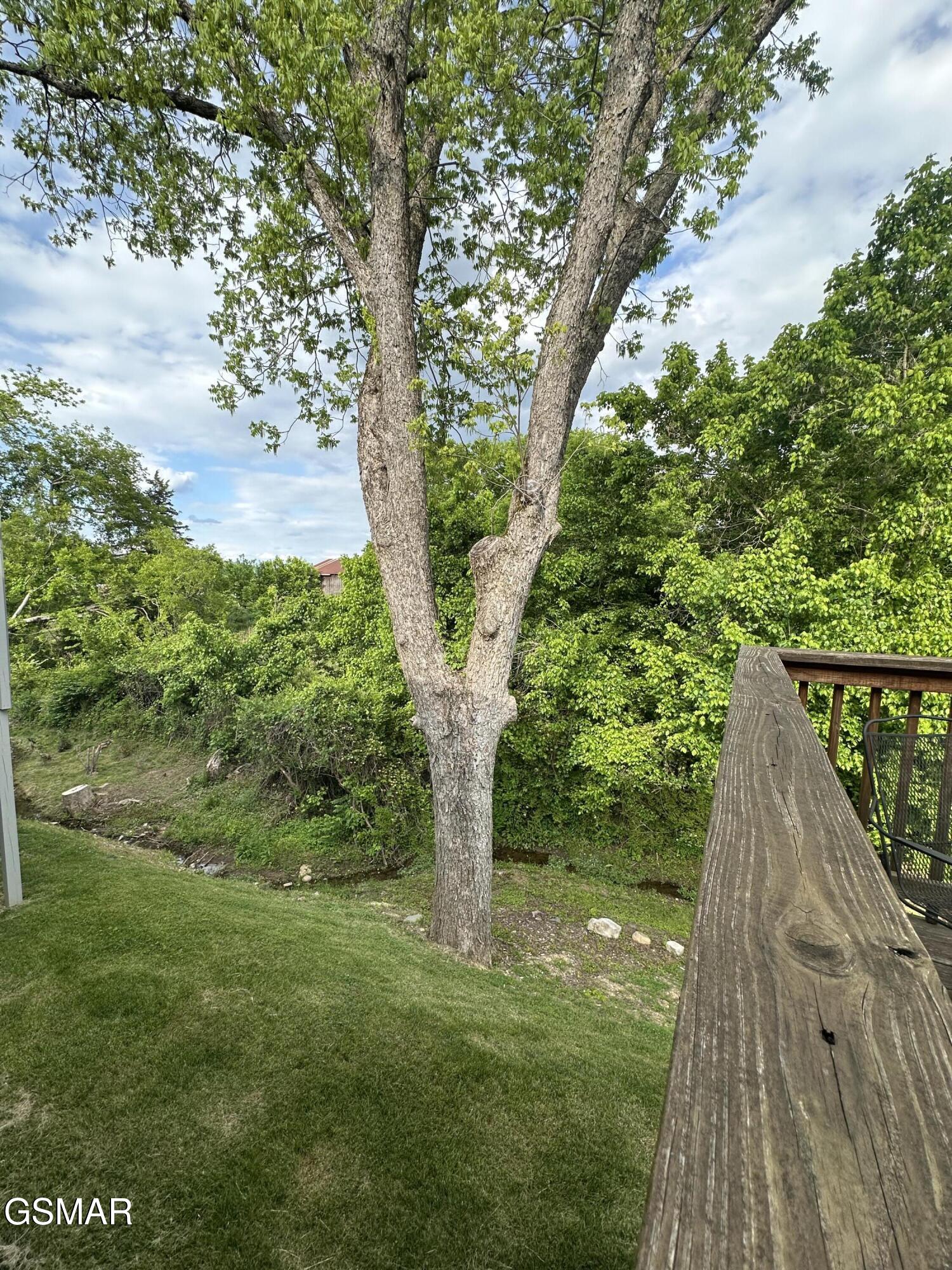 146 Mayapple Way Sevierville TN 37862