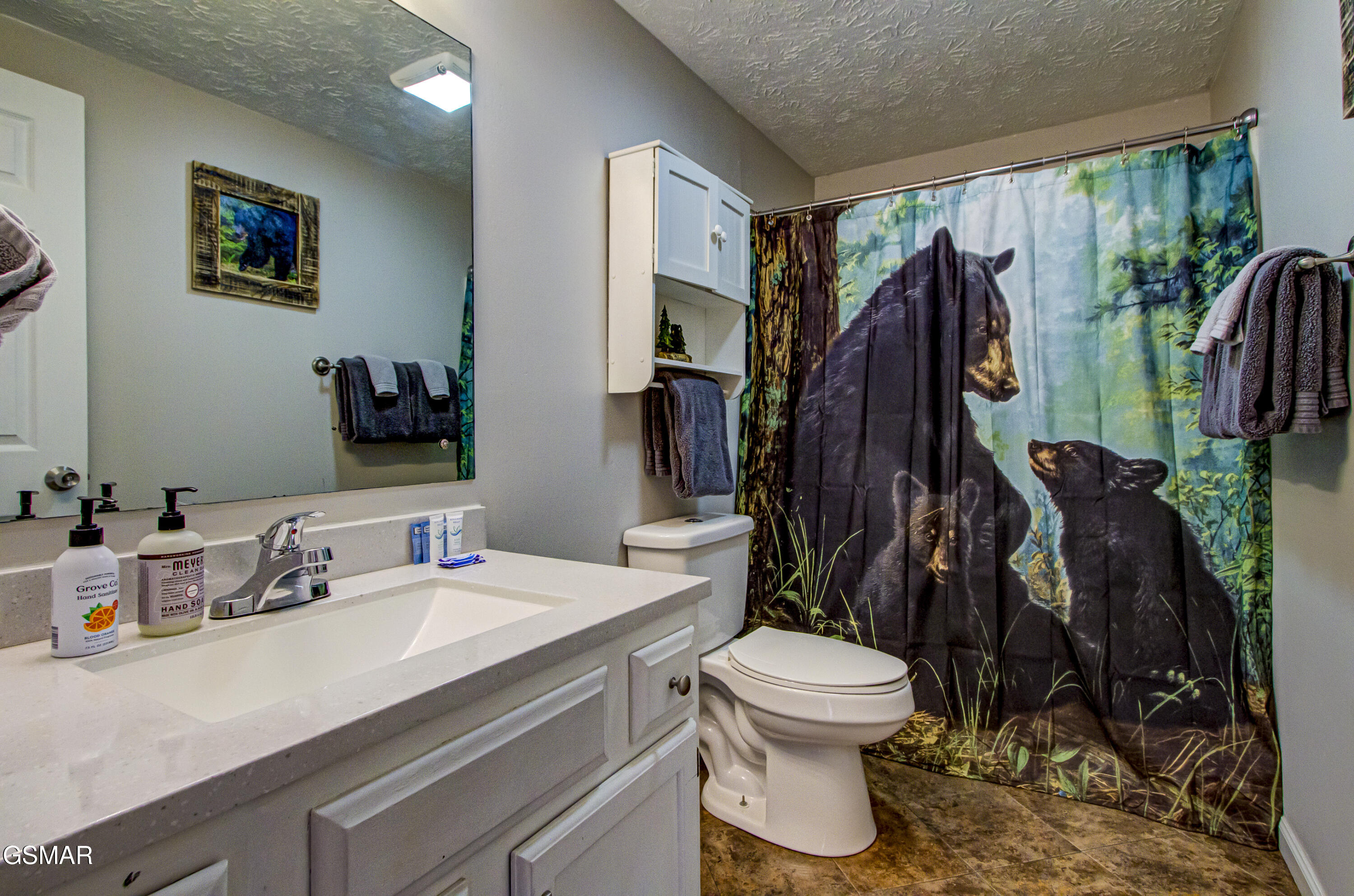 625 S Asbury Drive Pigeon Forge TN 37863