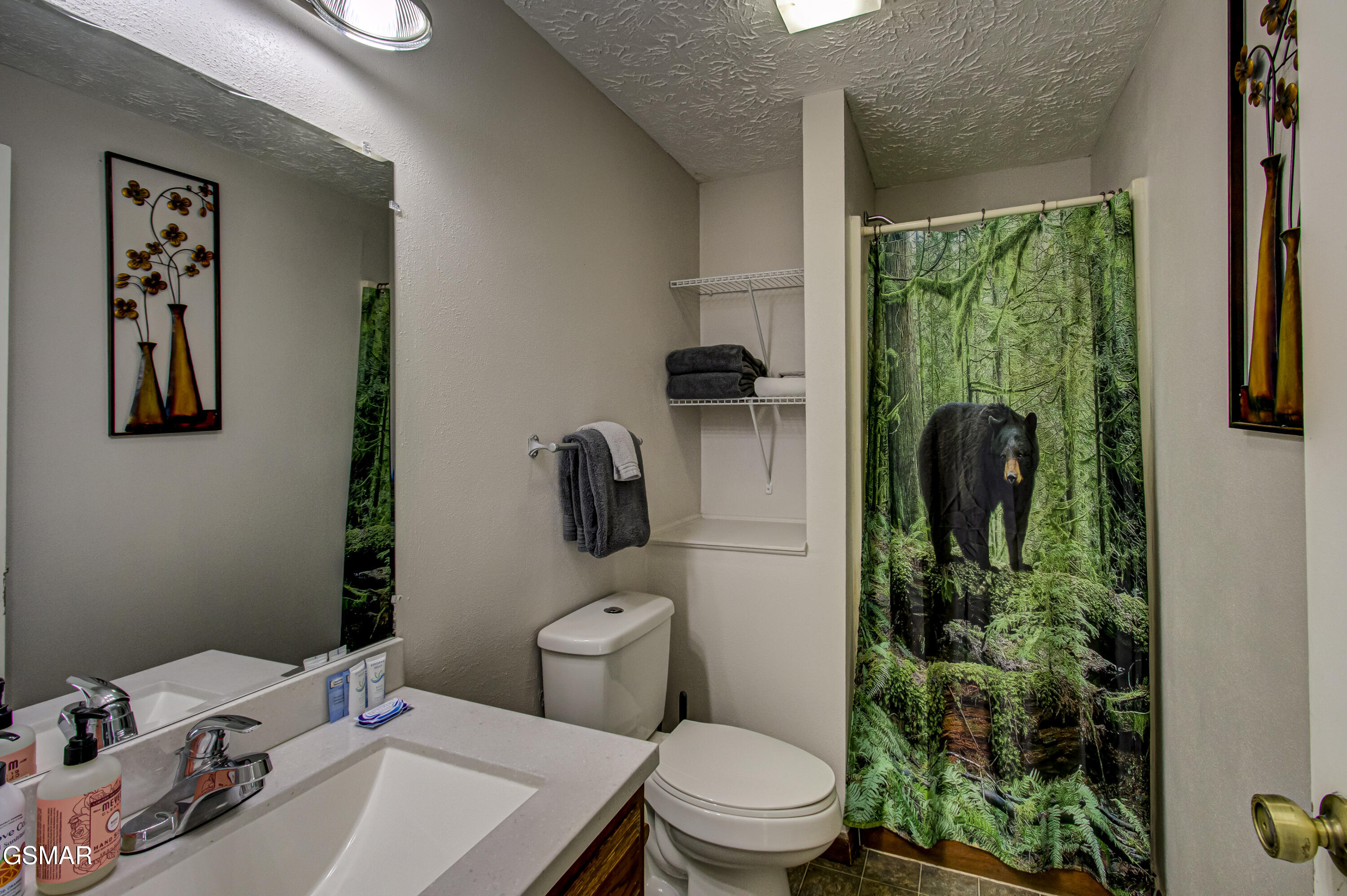 625 S Asbury Drive Pigeon Forge TN 37863