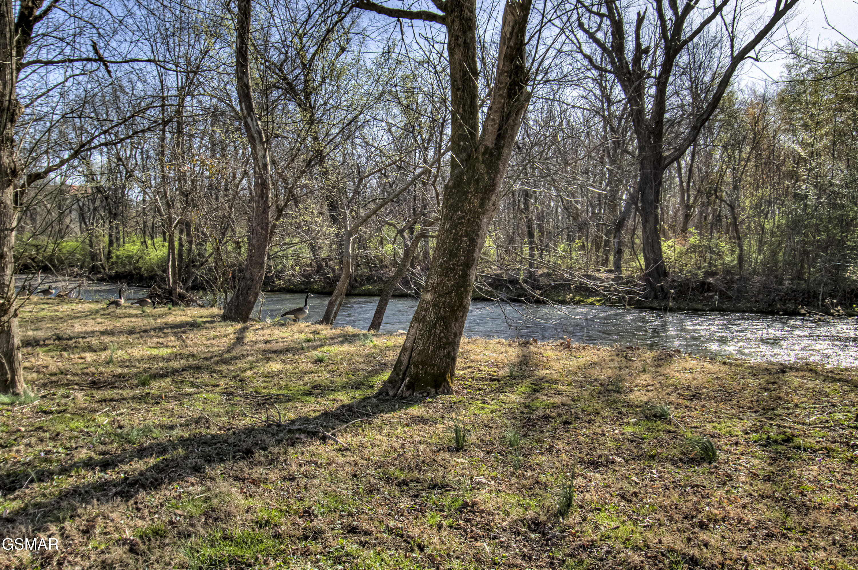 625 S Asbury Drive Pigeon Forge TN 37863
