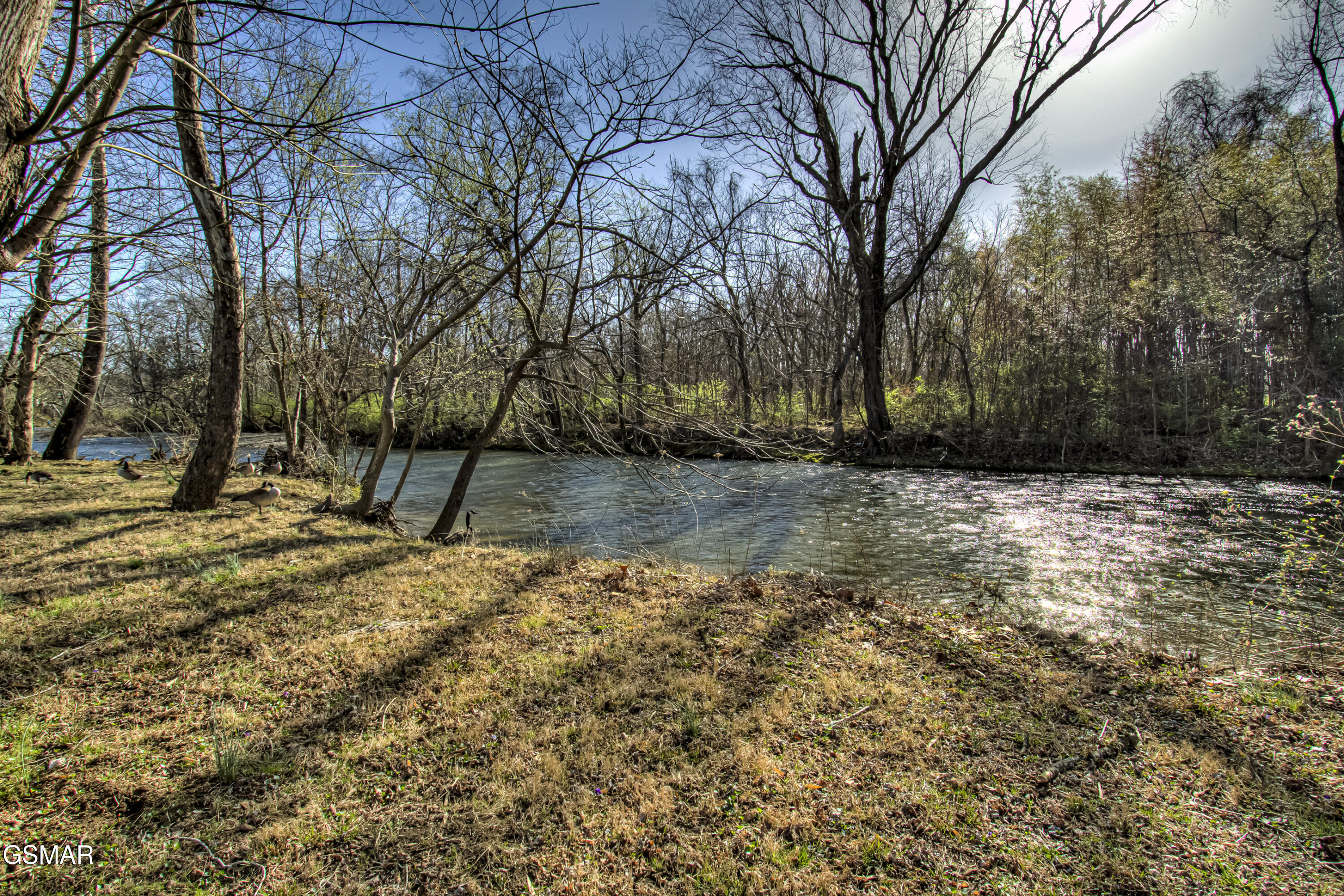 625 S Asbury Drive Pigeon Forge TN 37863