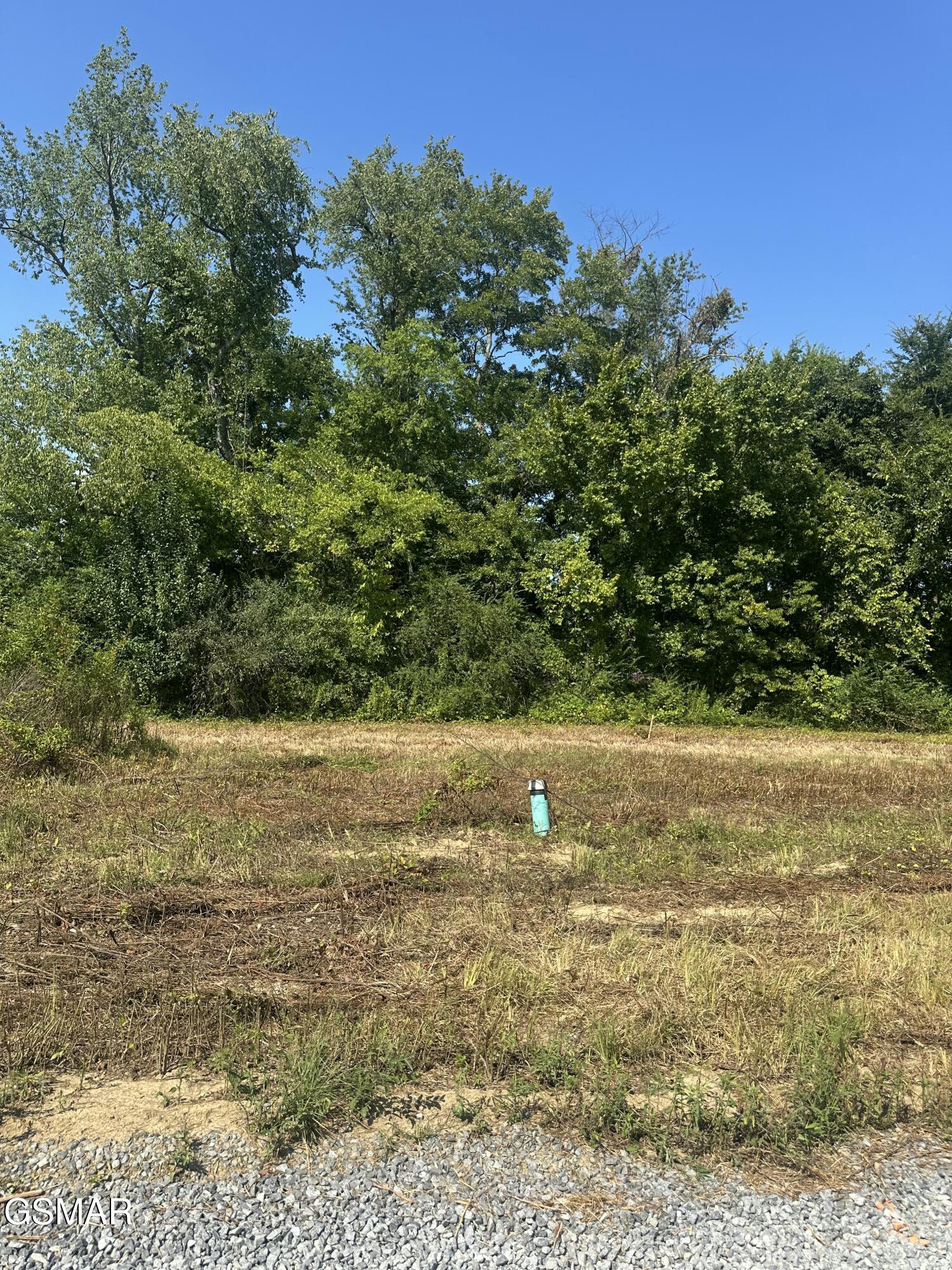 540 Henderson Road Pigeon Forge TN 37863