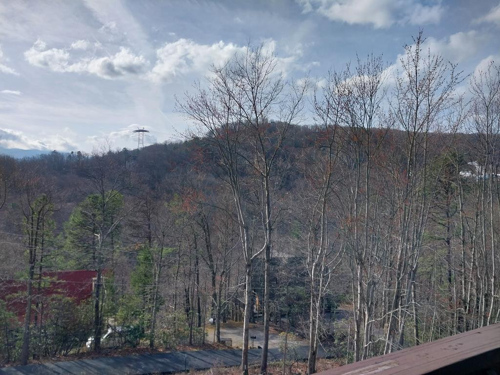 1155 Upper Alpine Way, Gatlinburg TN 37738