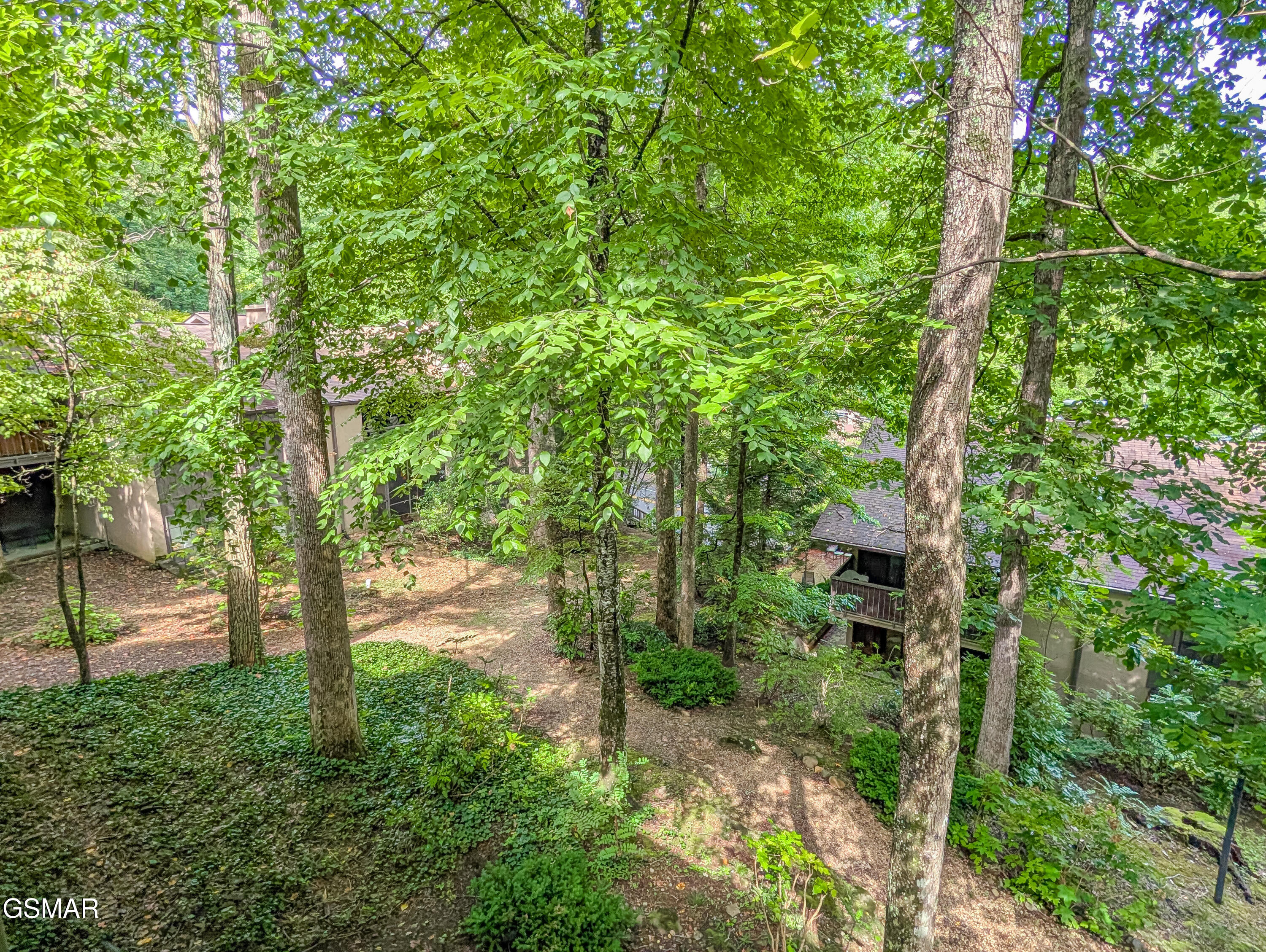 1235 Ski Mountain Road Gatlinburg TN 37738