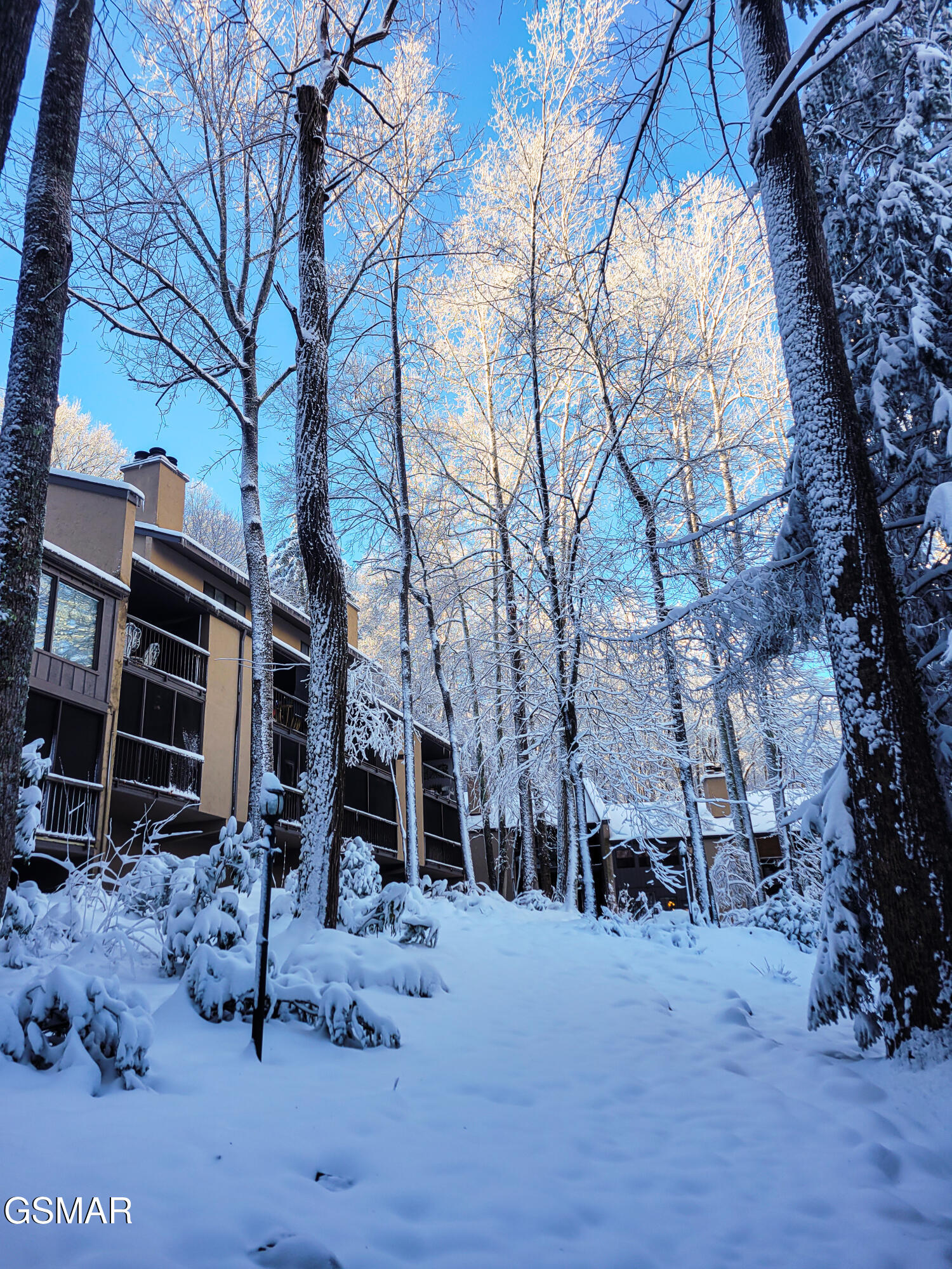 1235 Ski Mountain Road Gatlinburg TN 37738