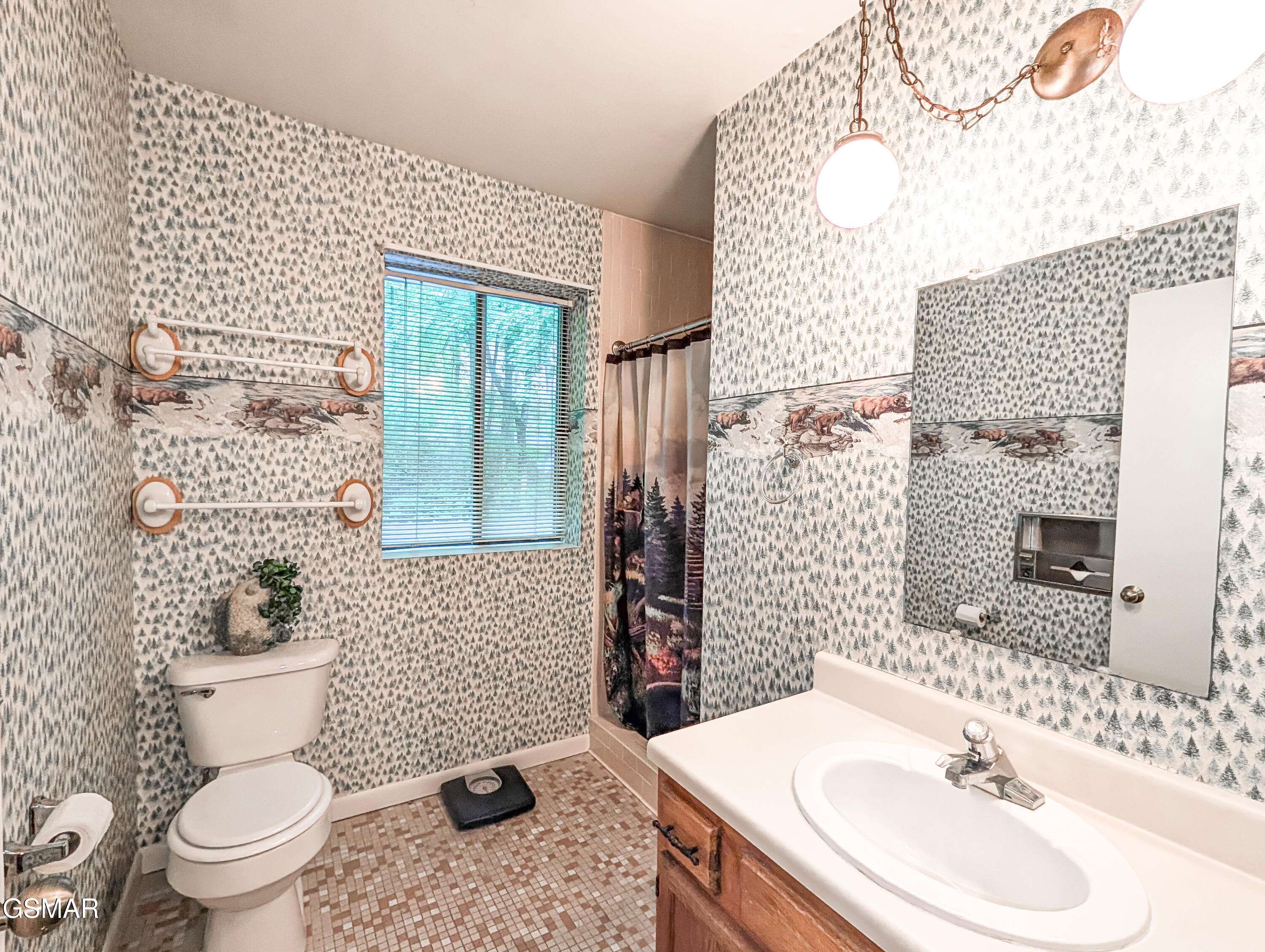 1235 Ski Mountain Road Gatlinburg TN 37738