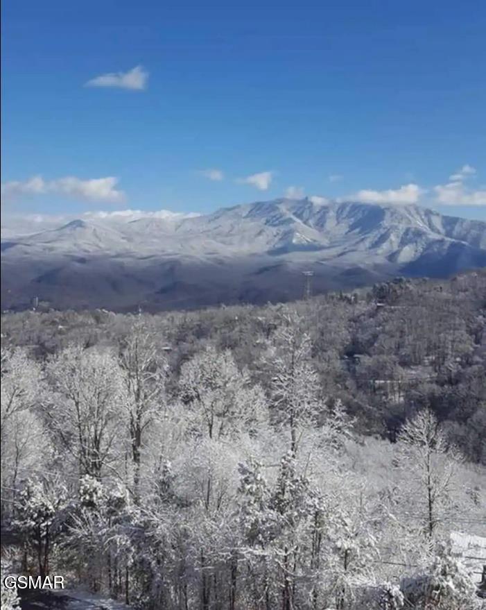 1260 Ski View Drive Gatlinburg TN 37738