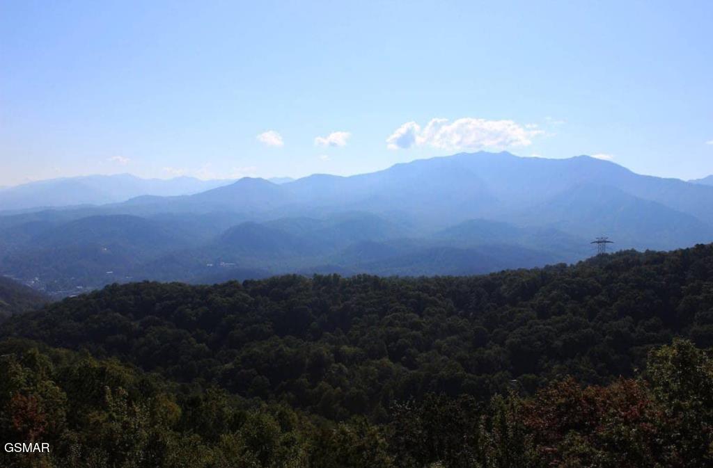 1260 Ski View Drive Gatlinburg TN 37738