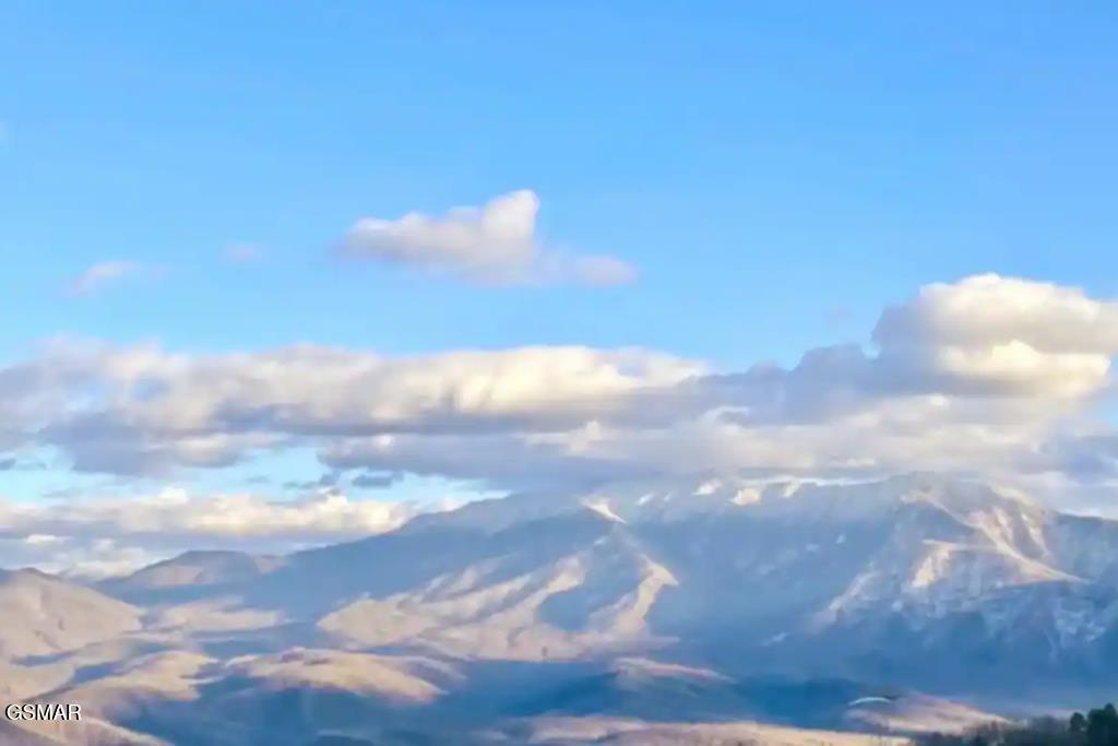 1260 Ski View Drive Gatlinburg TN 37738