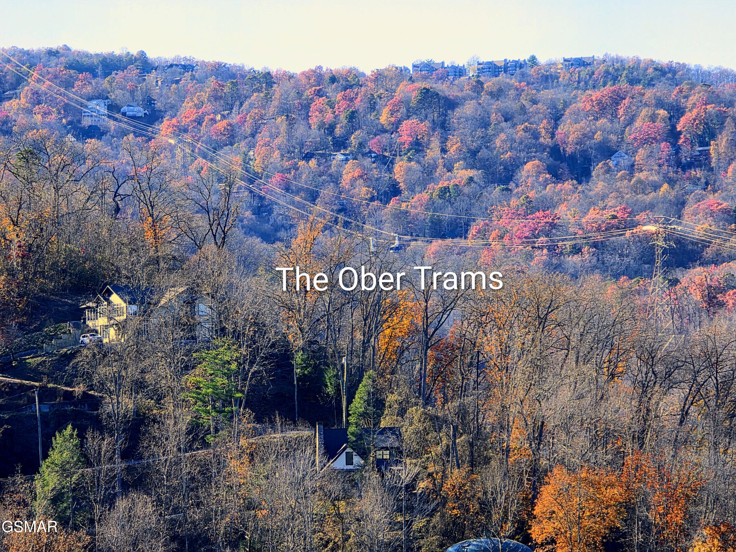 616 Turkey Nest Road Gatlinburg TN 37738