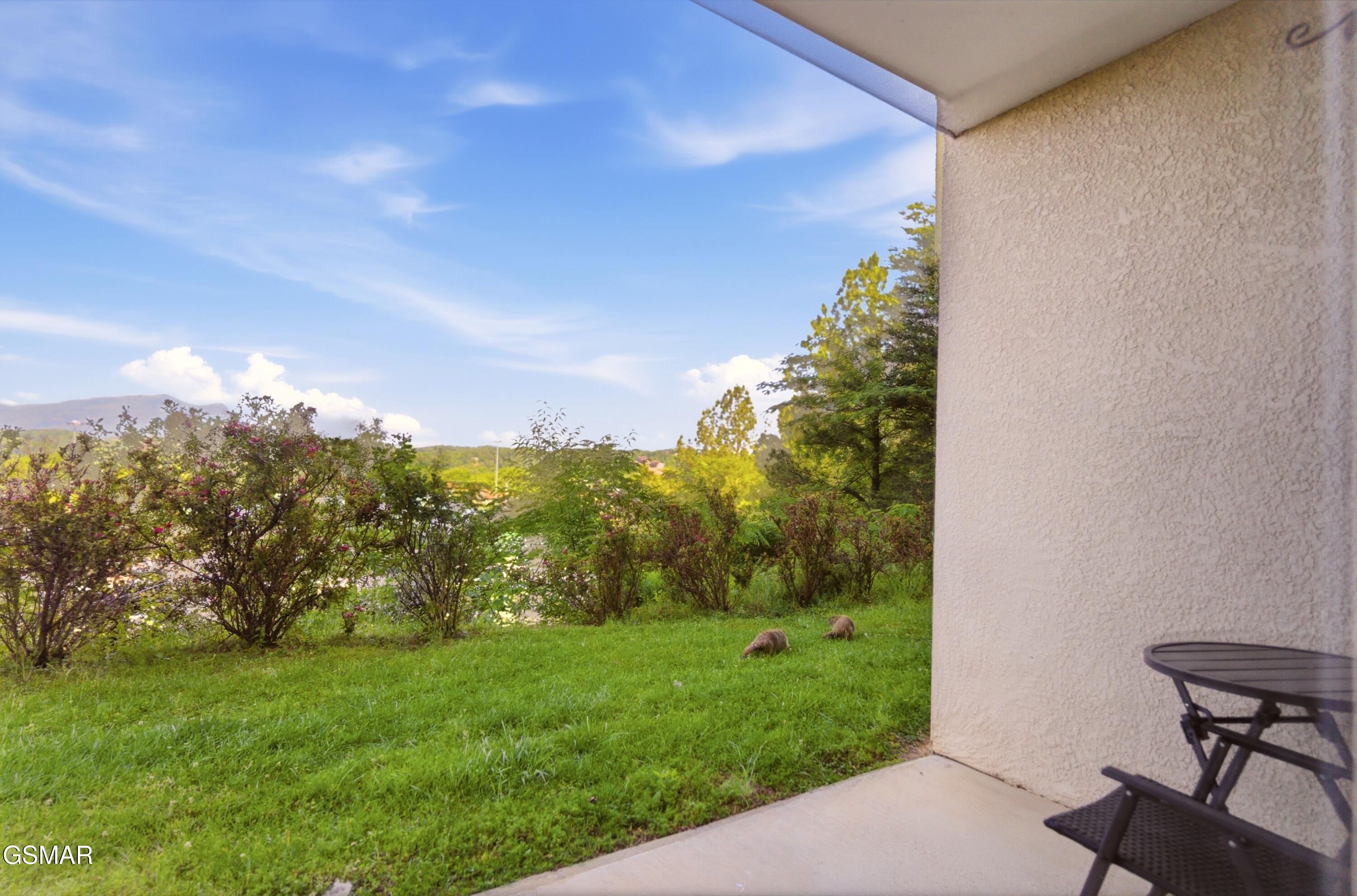 124 Plaza Drive Pigeon Forge TN 37863