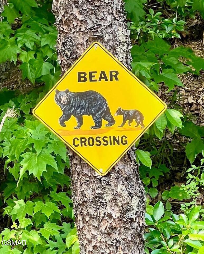 429 Deer Path Lane Gatlinburg TN 37738