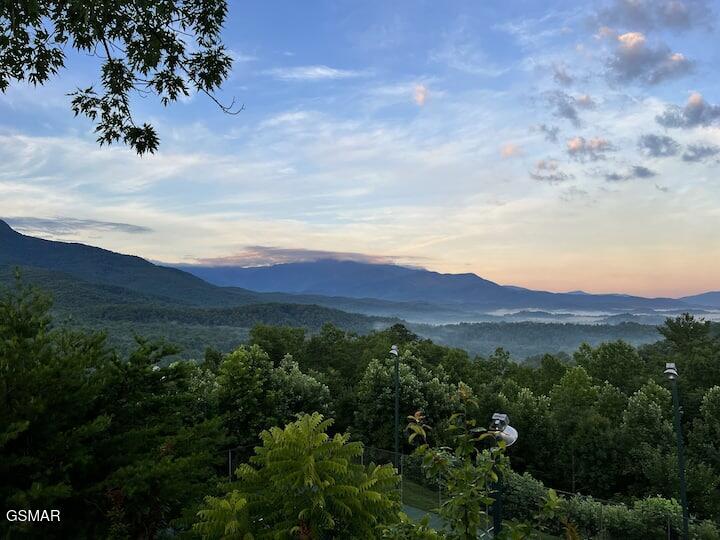 3710 Weber Road Gatlinburg TN 37738