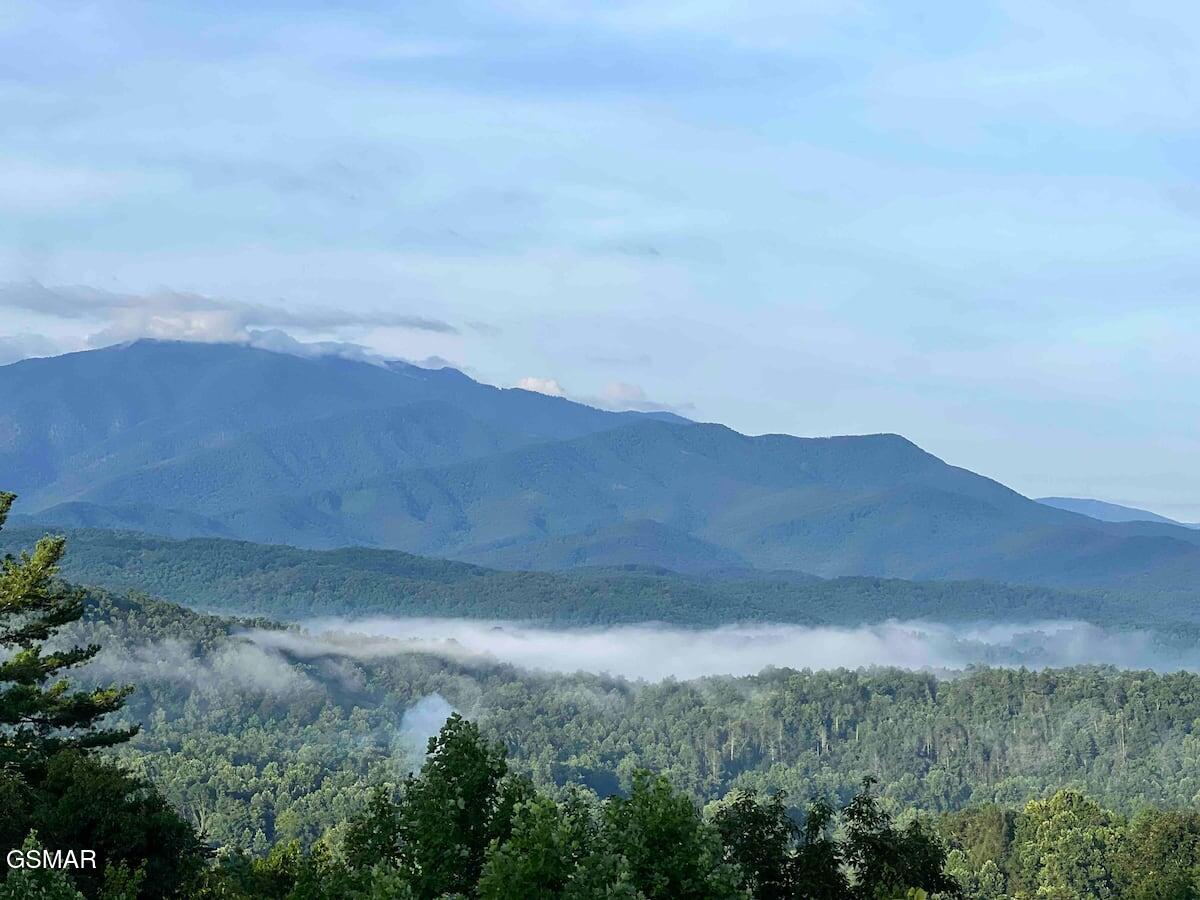 3710 Weber Road Gatlinburg TN 37738