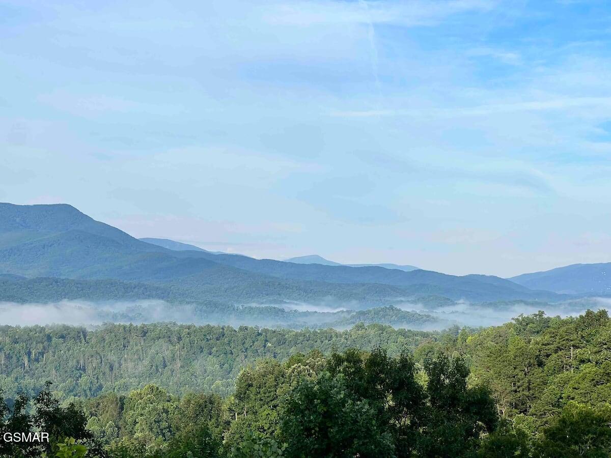 3710 Weber Road Gatlinburg TN 37738