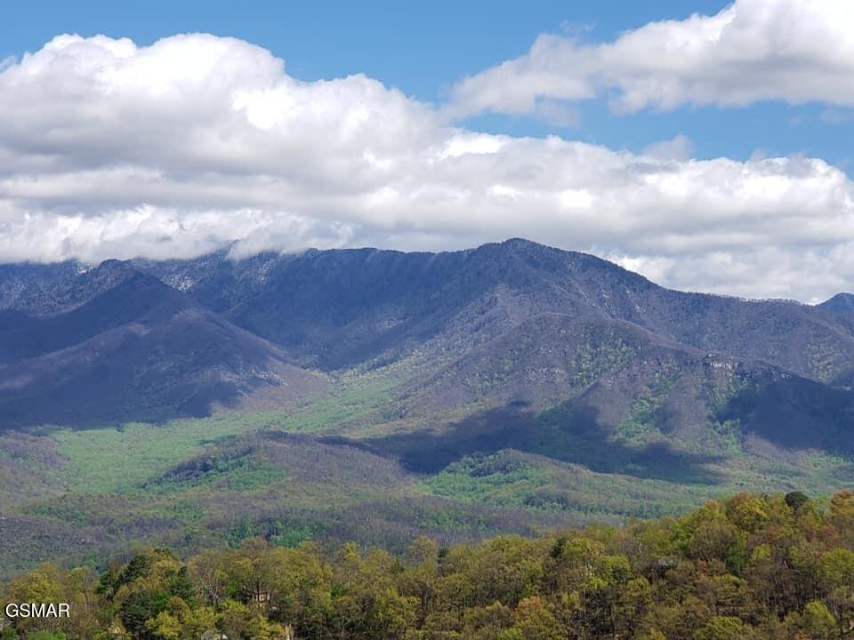 1130 Ski View Drive Gatlinburg TN 37738