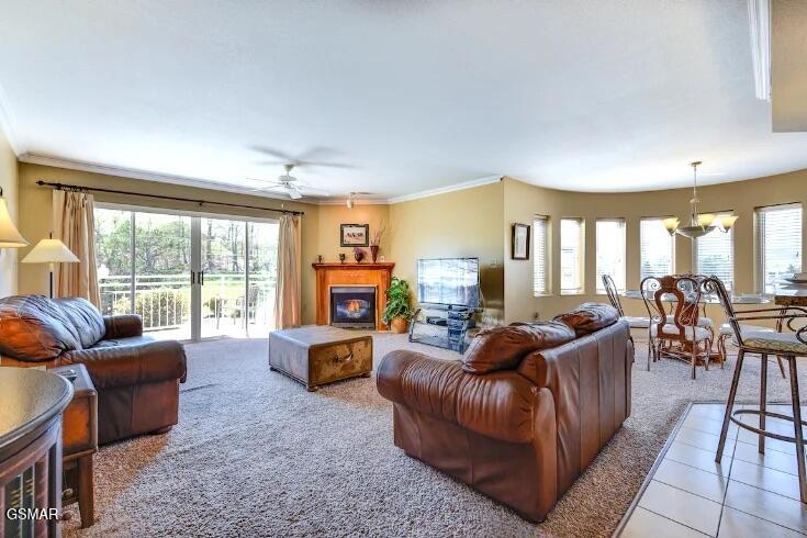 503 Dollywood Lane Pigeon Forge TN 37863