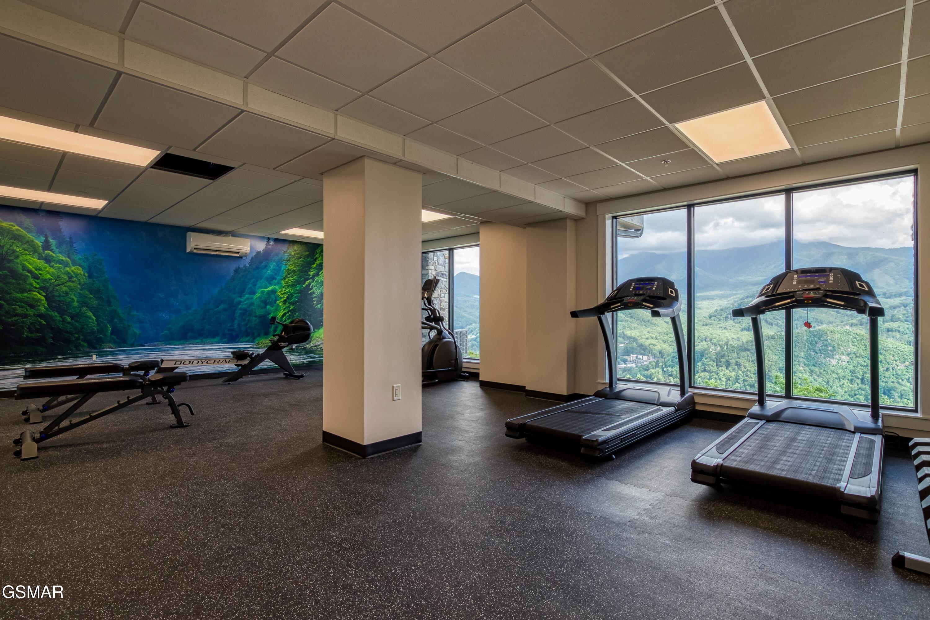 855 Campbell Lead Road Gatlinburg TN 37738