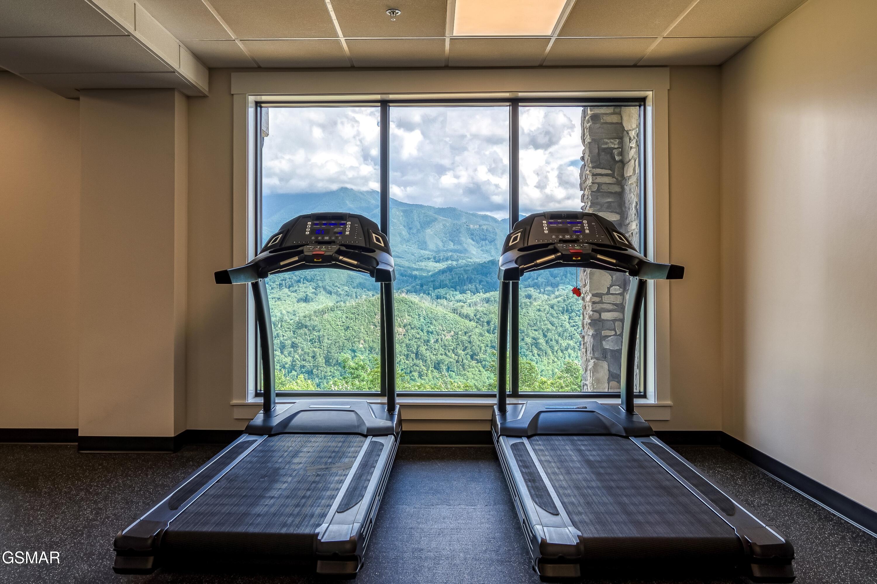 855 Campbell Lead Road Gatlinburg TN 37738