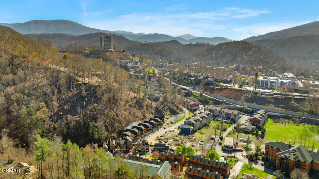 215 Circle Drive Gatlinburg TN 37738