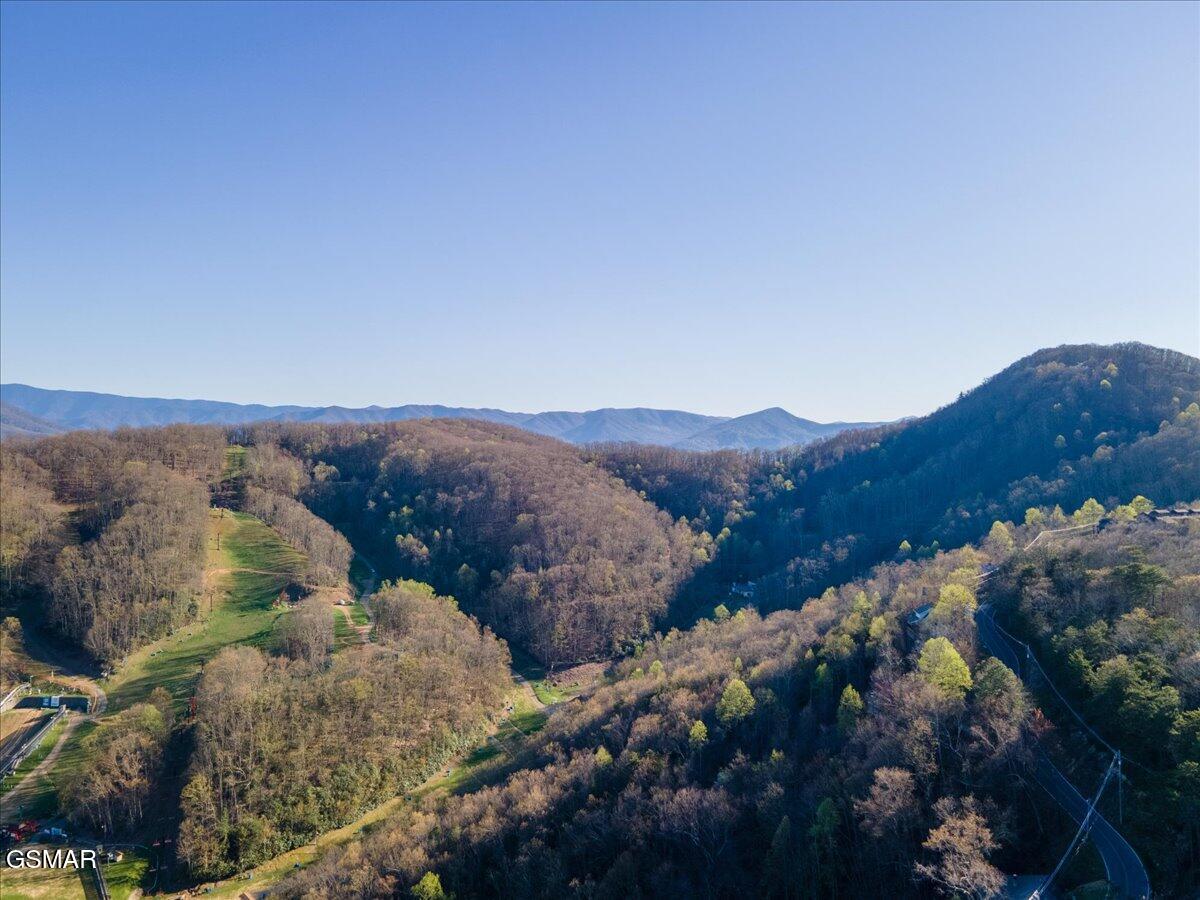 1260 Ski View Drive Gatlinburg TN 37738